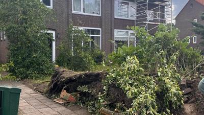 Afbeelding Herstelwerk aan de Azaleastraat na storm Poly